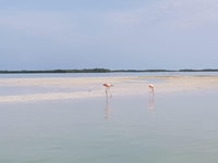 Holbox, visite de trois îles - Hizvo