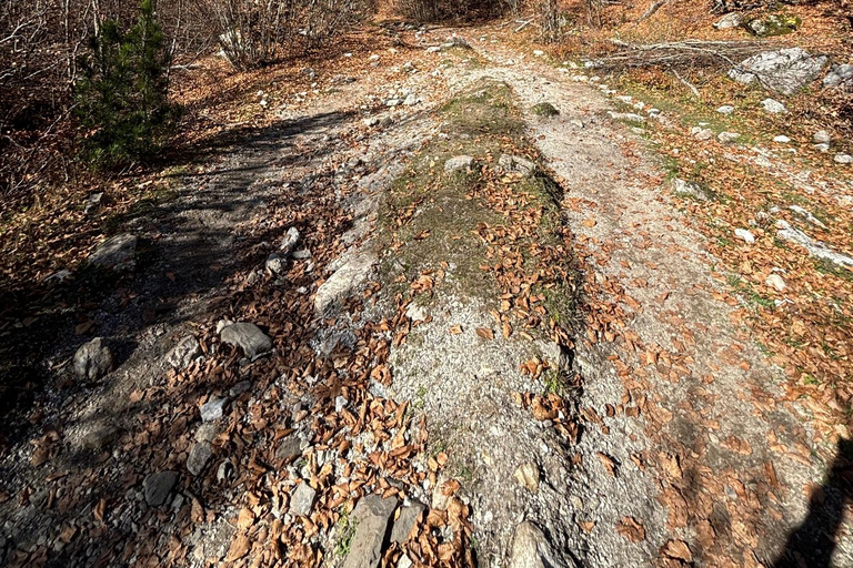 Valbona to Theth: 3-Day Hike with The Wanderers