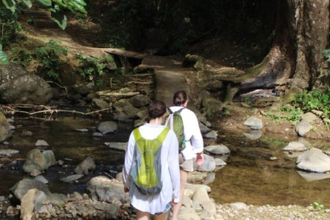Jardin d&#039;orchidées de Nadi, randonnée dans les cascades avec source d&#039;eau chaude et bain de boueFidji Marriott/Queens Wharf Lautoka/Prise en charge au Tanoa Waterfront