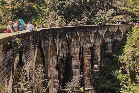 Excursión destacada con degustación y entorno verde en ella