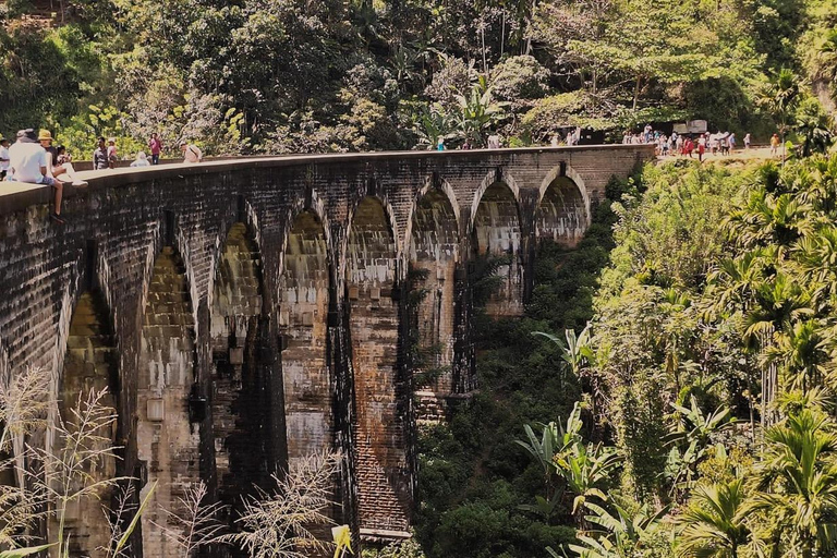 Excursión destacada con degustación y entorno verde en ella