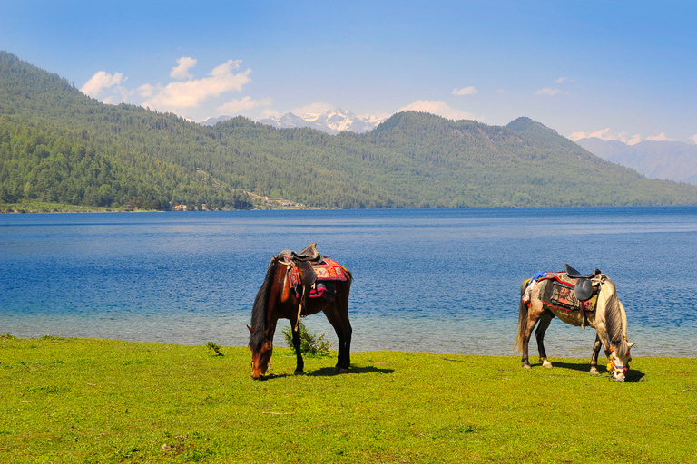 Kathmandu: Rara Lake 7-Day Tour with Flights and Meals