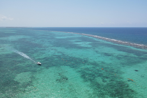 Grand Cayman: Catamaran Cruise with Stingray City & Snorkel