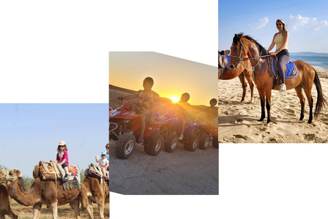 Hammamet: Camel Ride, Lunch, and Quad Biking Tour