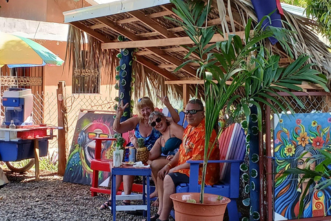 Puerto Plata: Countryside tour with Monkey Home, butterflies, and coffee