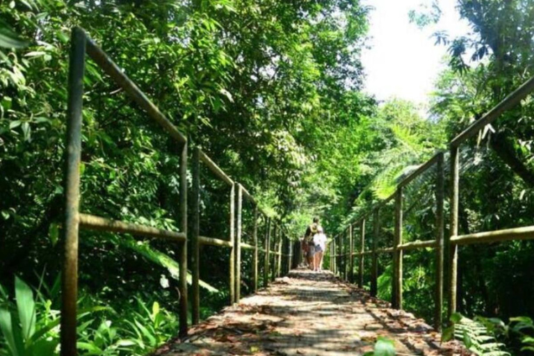 Santos: Waterfall Hike and Boat Ride at the Rain Forest from Sao Paulo: Waterfall Hike and Boat Ride at the R Forest