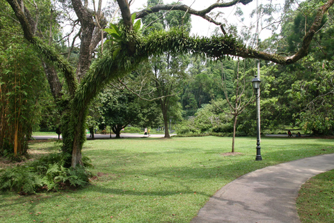 Cingapura: Excursão particular com um guia localPasseio de 3 horas