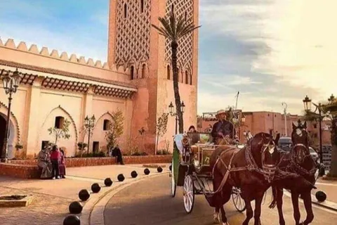 Marrakech: Tour di 1 ora in carrozza tradizionale trainata dai cavalli