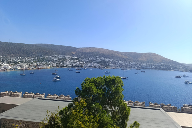 Bodrum St.Peters castle & Underwater Archeology Museum tour!