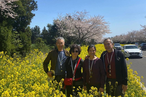 Jeju Hidden Gem: Tour particular com tudo incluído (Eastern Gems)Jeju Hidden Gem: Tour particular com tudo incluído (guia de turismo certificado)