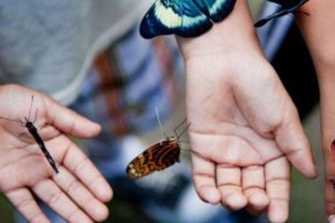 From Loreto: Full Day Nanay River - Momón - Amazonas