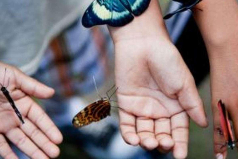 From Loreto: Full Day Nanay River - Momón - Amazonas