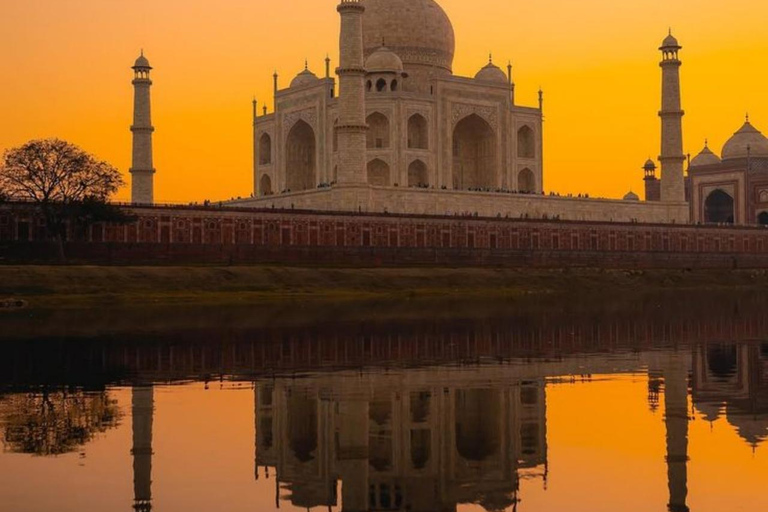 From Delhi: Taj Mahal Sunrise & Agra Fort Tour Private Tour Guide Services (Agra)