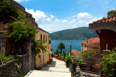 Kotor till Herceg Novi enkelriktad transfer