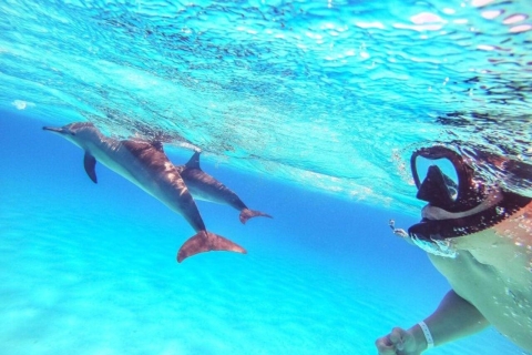 Sahl Hasheesh: Wycieczka łodzią do domu delfinów z prywatnym transferem