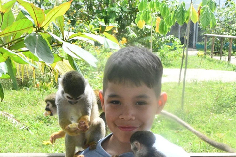 Puerto Plata: Monkey home, Damajagua Waterfalls & City Tour