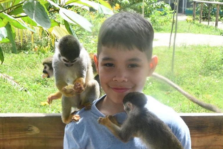 Puerto Plata: Monkey home, Damajagua Waterfalls & City Tour