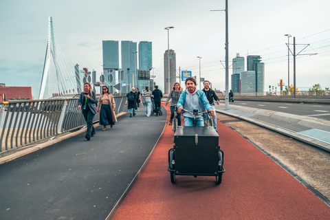 Rotterdam: Classic Highlight Bicycle Tour by Local