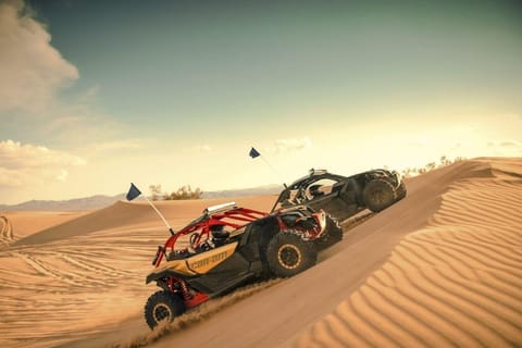 Dubai: Red Dunes Quad Bike, Dune Buggy, Camel & Refreshments
