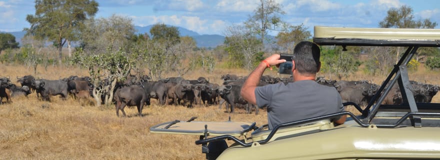 Depuis Zanzibar : safari d'une journée au parc national de Mikumi