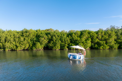 Denarau: Self Drive BBQ eBoat Cruise with Onboard BBQ Fiji Self-Drive Cruise with optional BBQ onboard