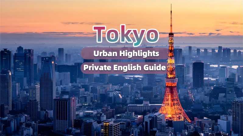Tokyo: Anime&Otaku Private Tour with Expert English Guide