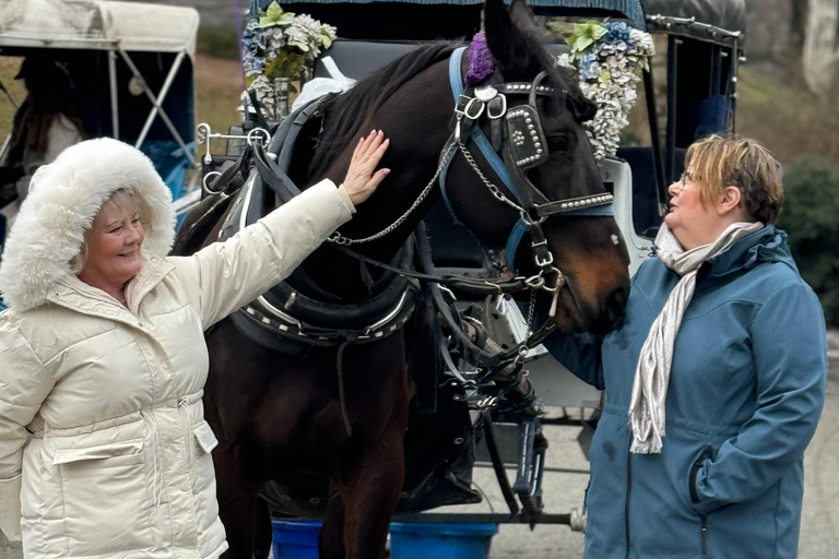 NYC Private Central Park Horse Carriage Ride with Guide NYC VIP Christmas Light Horse Carriage Ride