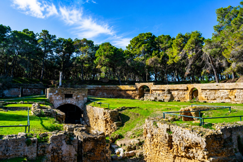 Tunis: Carthage and Sidi Bou Said Tour VIP Hammamet: Tunis, Carthage & Sidi Bou Said Tour