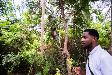 Visite guidée de Nakupenda, de l&#039;île-prison et de la forêt de Jozani