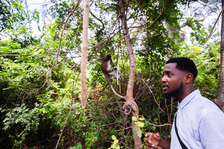 Zanzibar: Secret Beach, Kuza Cave e Jozani con trasferimentoSpiaggia Segreta, Grotta di Kuza e foresta di Jozani con trasferimento