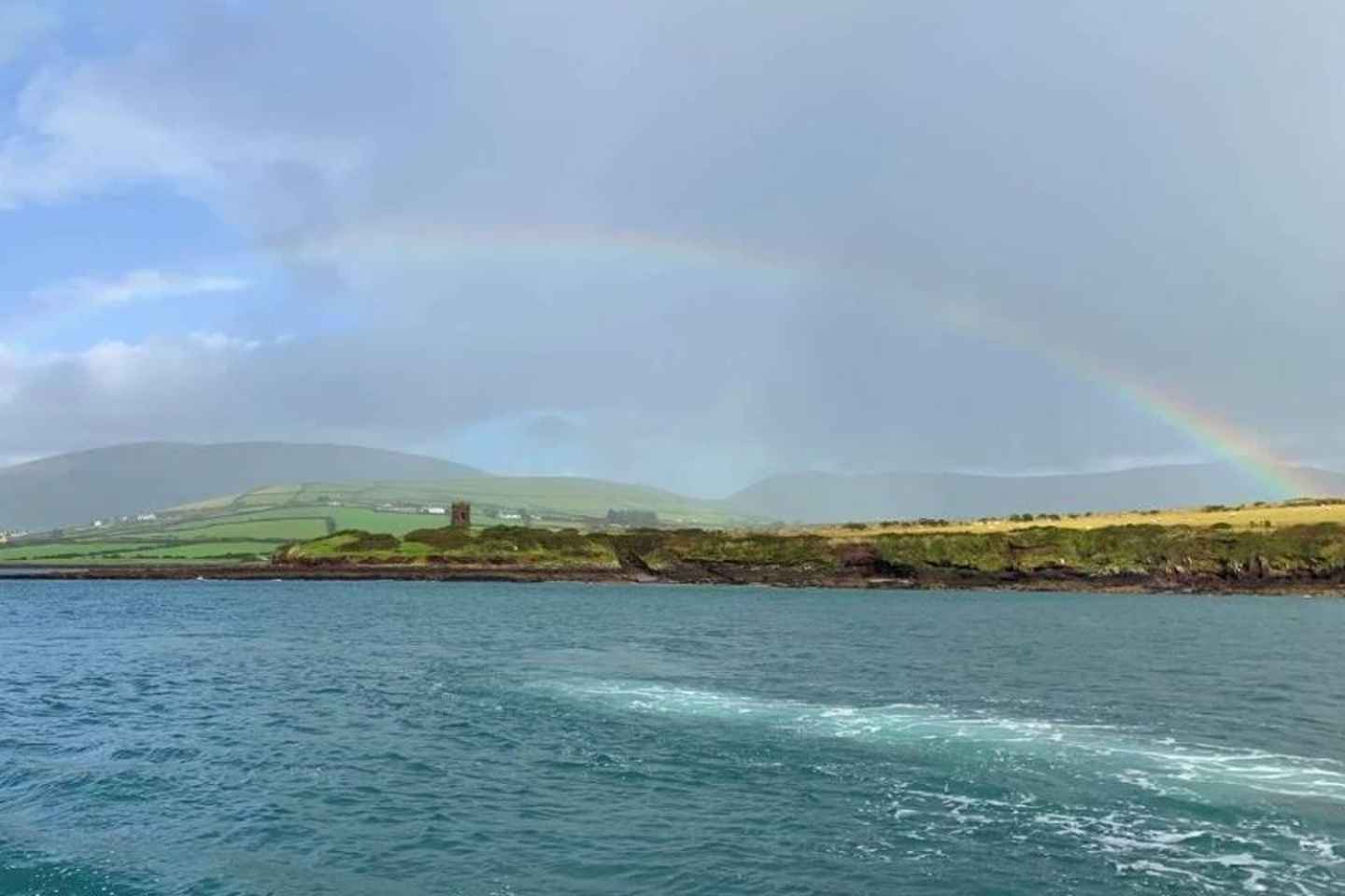 Dingle: Dingle Bay Cliffs Boat Tour with Guide (1 Hour)