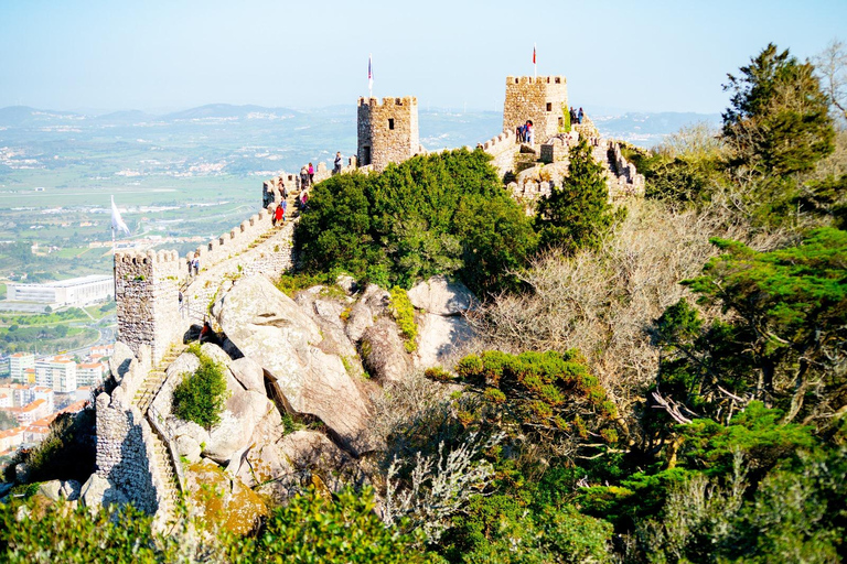 Sintra: Tour privato di un giorno intero e opzione di ingresso al Palazzo PenaTour standard