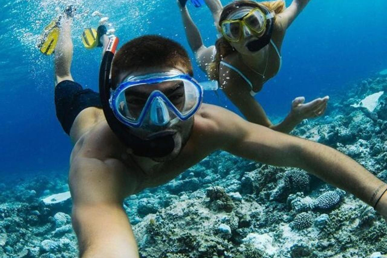 Cham Island: Group Snorkeling Trip by Speedboat Cham Island Speedboat Snorkeling Tour with Hoi An Pickup