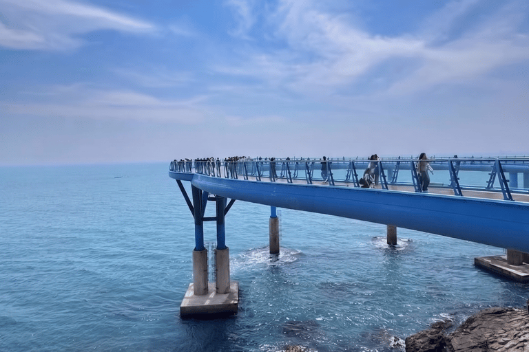 Busan & Gyeongju Highlights 2 Days Combo Tour from Busan