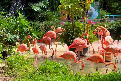 Parque de las Aves de Chimelong