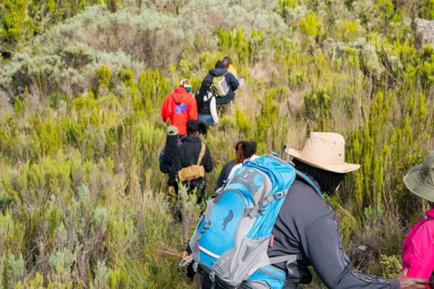 Mt Kenya: Half-day hiking and wildlife viewing