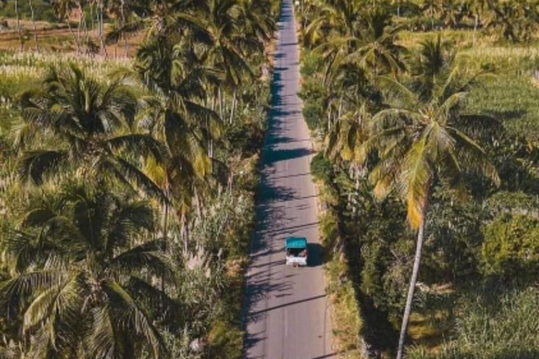 From Praia: Santiago Highlights Private Sightseeing Day Trip