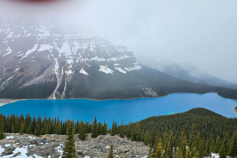 Invierno: Excursión de día completo en privado por la ruta Banff Icefield Parkway