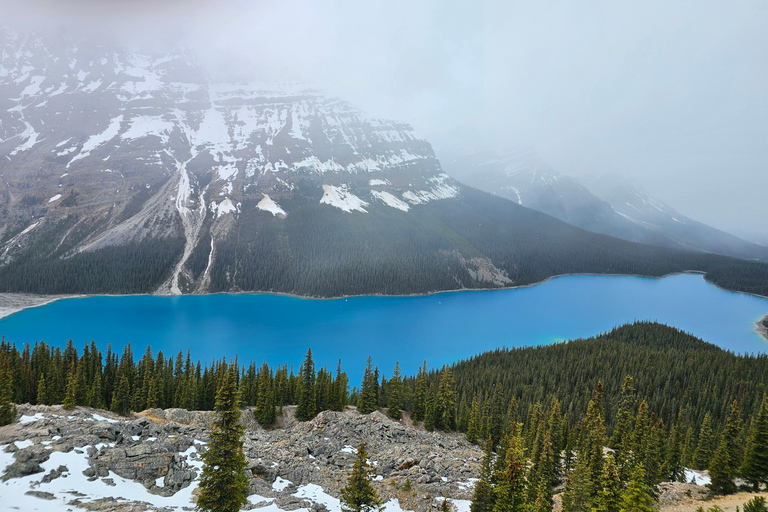 Winter: Full Day Private Tour Banff Icefield Parkway Trip