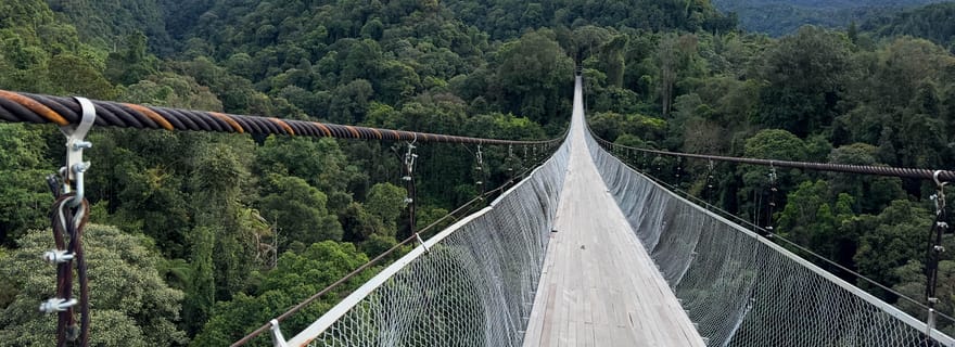 Taipei : Visite de la vieille rue de Daxi et de la fabrique de thé, Xiaowulai
