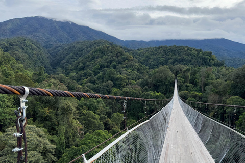 Taipei: Calle Vieja de Daxi y Fábrica de Té, Excursión de un día a XiaowulaiTour privado