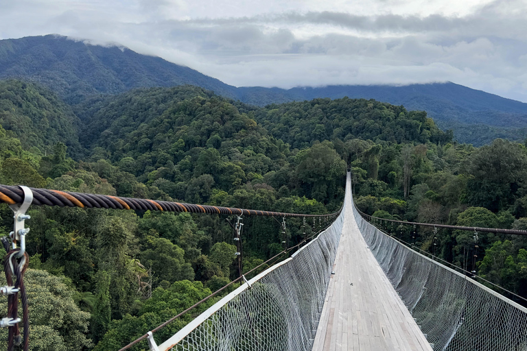 Taipei: Calle Vieja de Daxi y Fábrica de Té, Excursión de un día a XiaowulaiTour privado