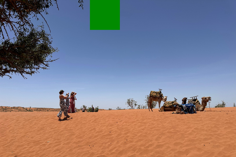 Agadir: Mini Sahara 4x4 Jeep Safari with Berber Lunch PICK UP FROM AGADIR