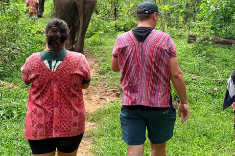 Chiang Mai Adventure: Rafting, ATV & Elephants Experience. Bamboo rafting (4km.) & 1 hrs. ATV.