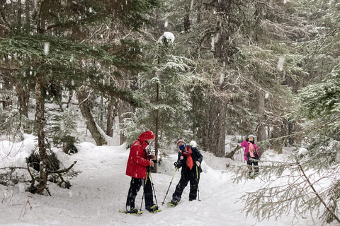 Guided Snowshoeing Adventure from Seward, Alaska 6-Hour Tour