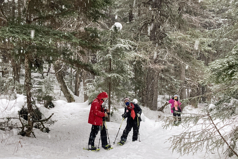 Guided Snowshoeing Adventure from Seward, Alaska 6-Hour Tour