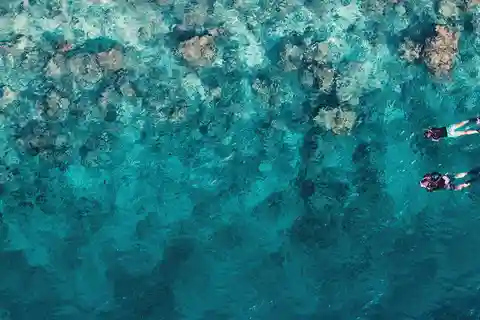 Snorkel 3 Reefs & Unwind on a Sandbank