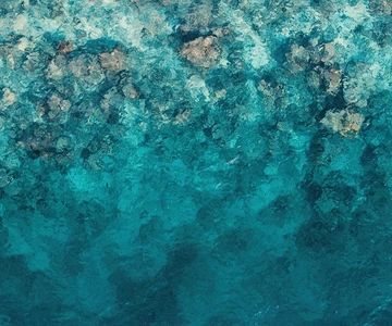 Snorkel 3 Reefs & Unwind on a Sandbank
