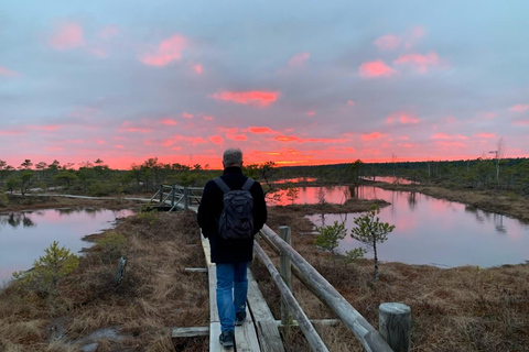Jurmala: Excursión al atardecer al Parque Nacional de Kemeri