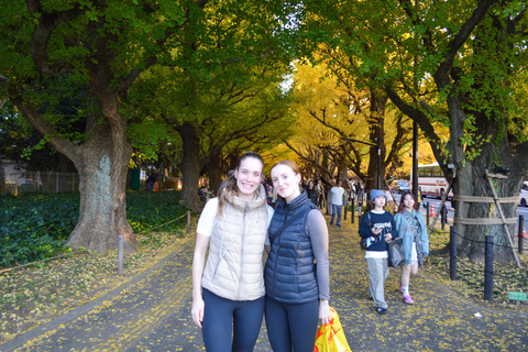 Tokyo: Golden Ginkgo Avenue Autumn Leaves Walk